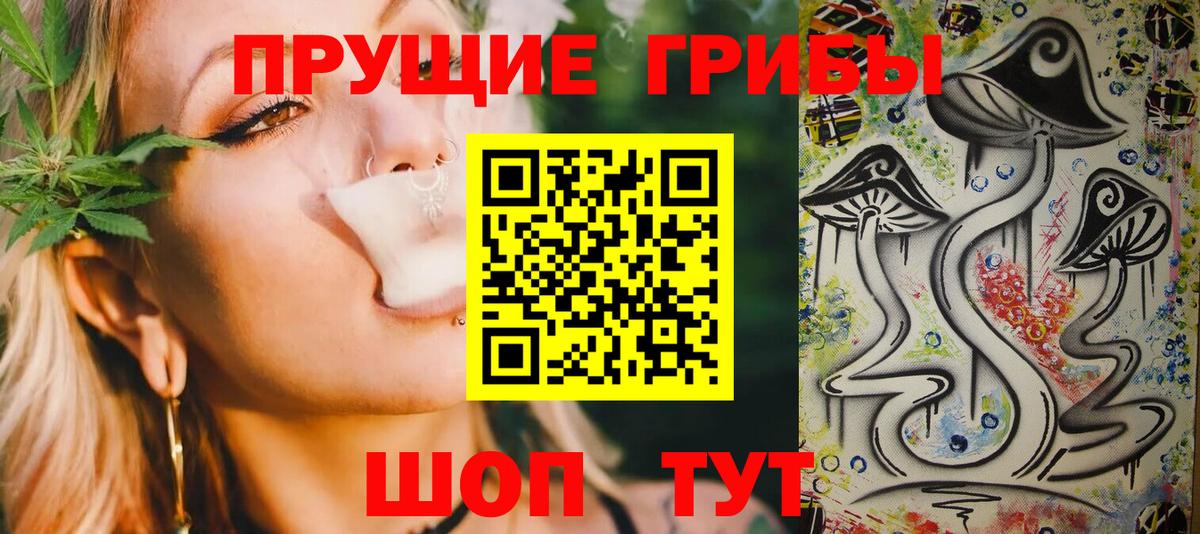 Псилоцибиновые грибы Psilocybine cubensis Новокуйбышевск