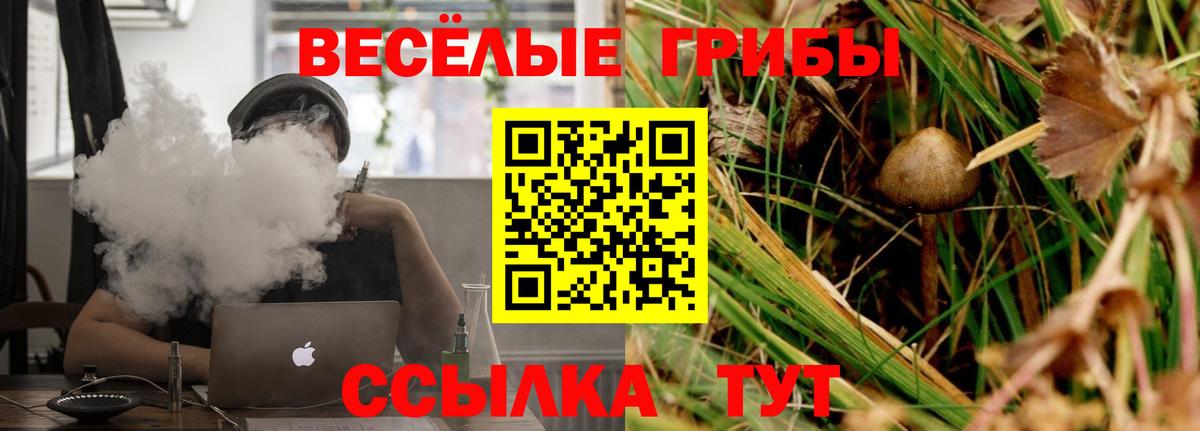 Псилоцибиновые грибы GOLDEN TEACHER  Вход с VPN  Новокуйбышевск 